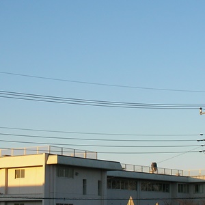 2014-12-15_07：05 空模様　宇都宮